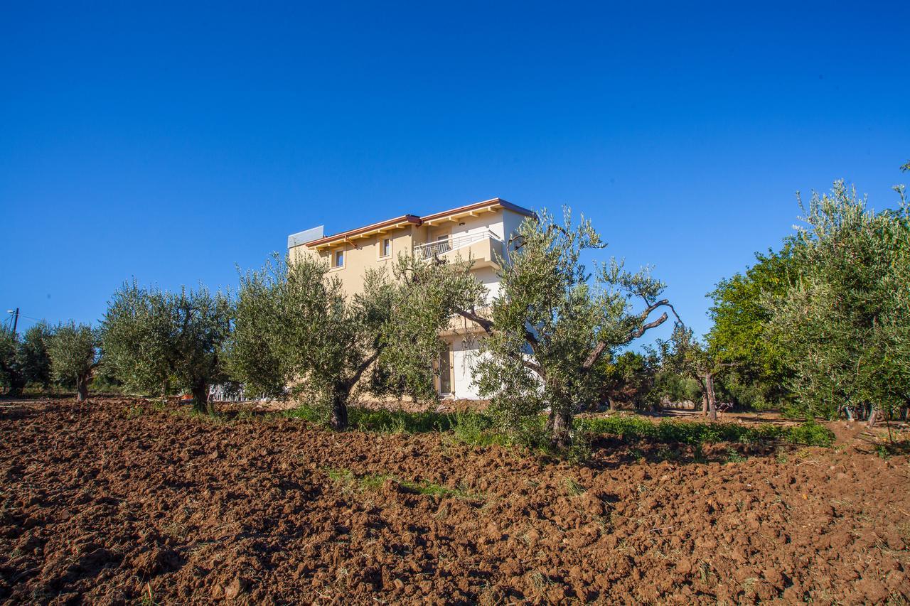 Il Gallo Con Gli Stivali Termoli Dış mekan fotoğraf
