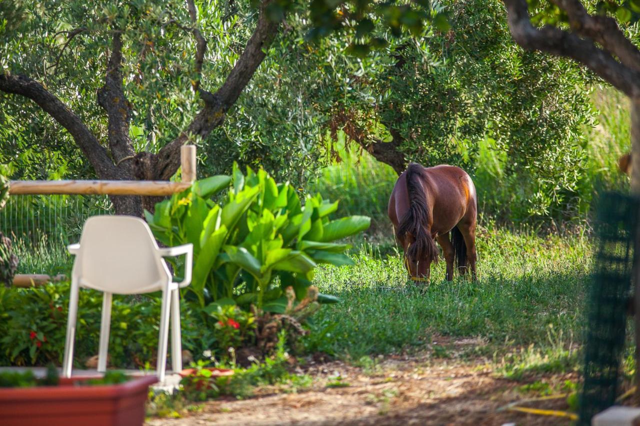 Il Gallo Con Gli Stivali Termoli Dış mekan fotoğraf