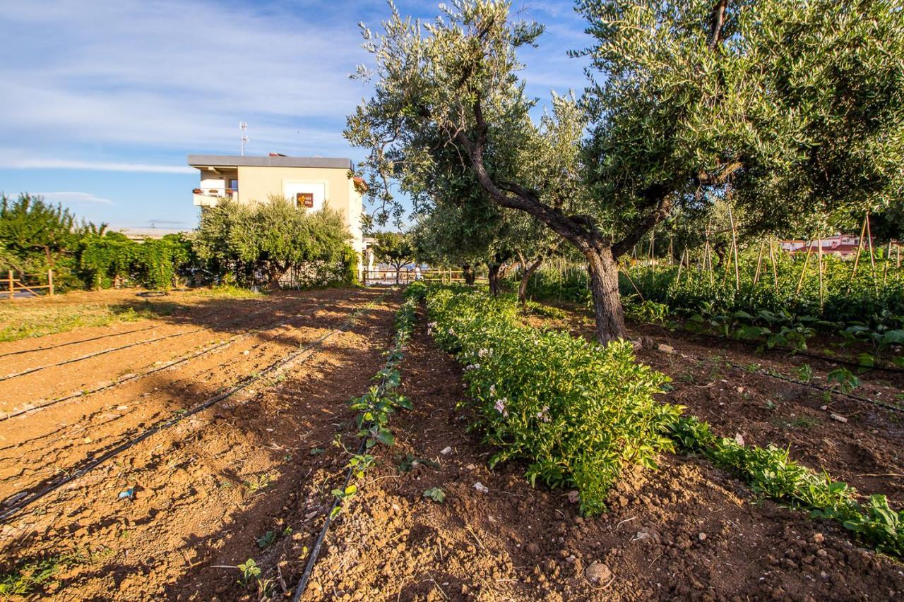 Il Gallo Con Gli Stivali Termoli Dış mekan fotoğraf