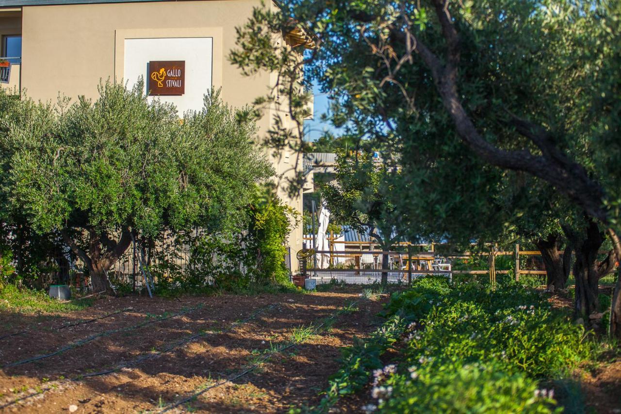 Il Gallo Con Gli Stivali Termoli Dış mekan fotoğraf